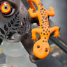 Small image 4