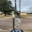 Small image 8