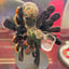 Small image 6