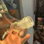 Small image 5