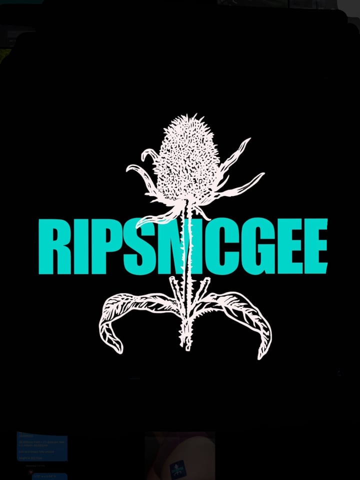 ripsmcgee's profile picture