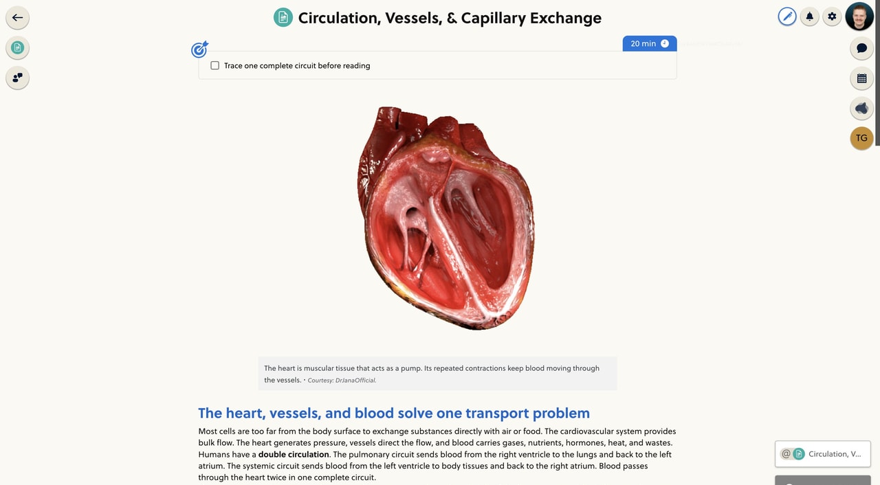 IMAT Mentor resource and lesson review dashboard