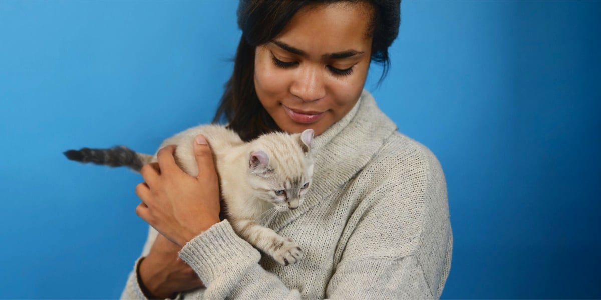 Waggel Blog How to Cut Back Your Cat's Scratching