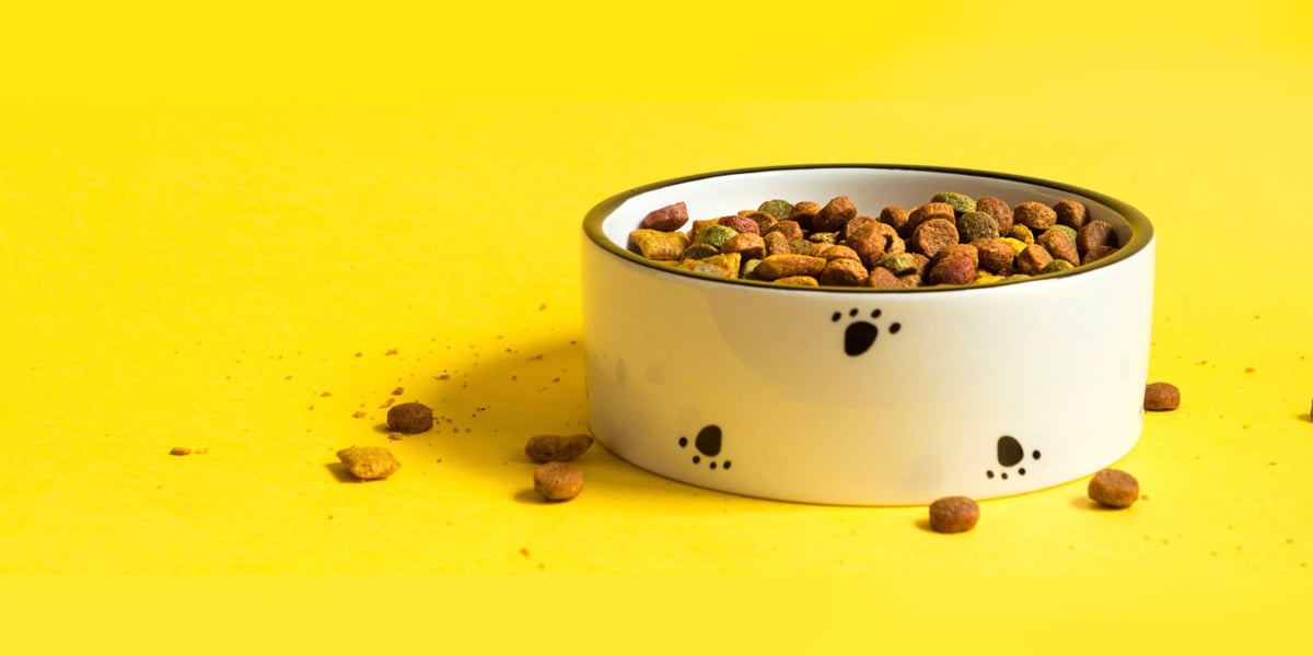 Waggel Blog Best Dry Cat Food UK Some Top Brands for Top Cats