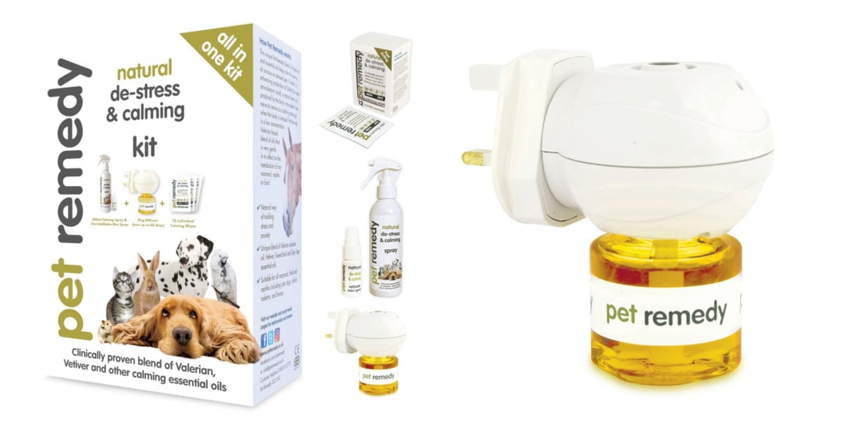 Waggel Blog Cat Calming PlugIn What Are They and Do They Work?