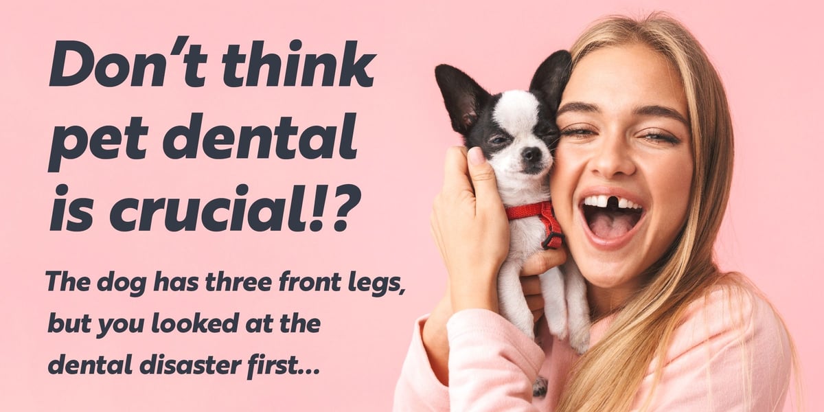 Waggel Blog Cat and Dog Dental Care What Is and Isn’t Covered in Pet