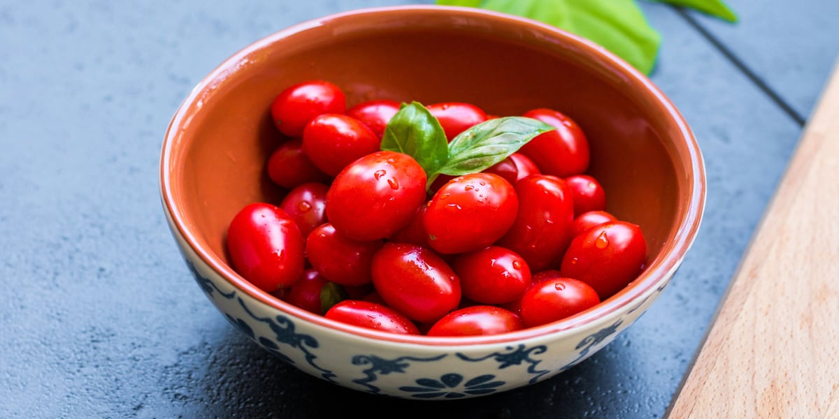 Waggel Blog Can Dogs Eat Tomatoes? Waggel Answers Your Questions