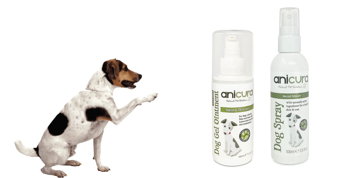 What Antiseptic Cream Is Safe For Dogs? Your Guide To Canine Skin Care