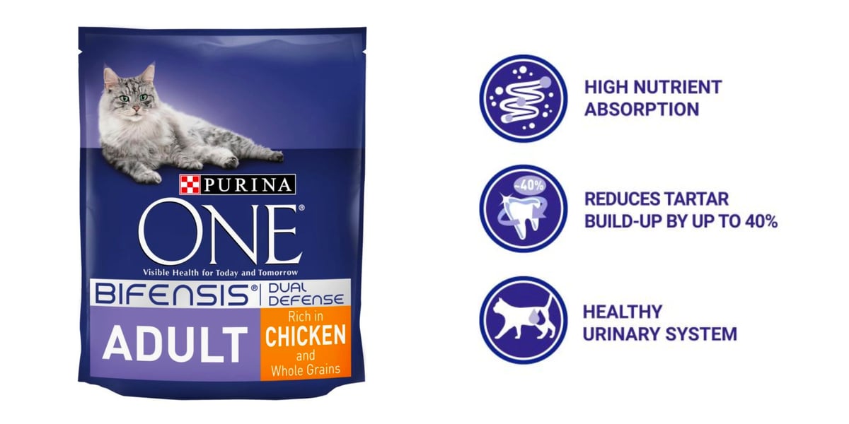 Waggel Blog Best Dry Cat Food UK Some Top Brands for Top Cats