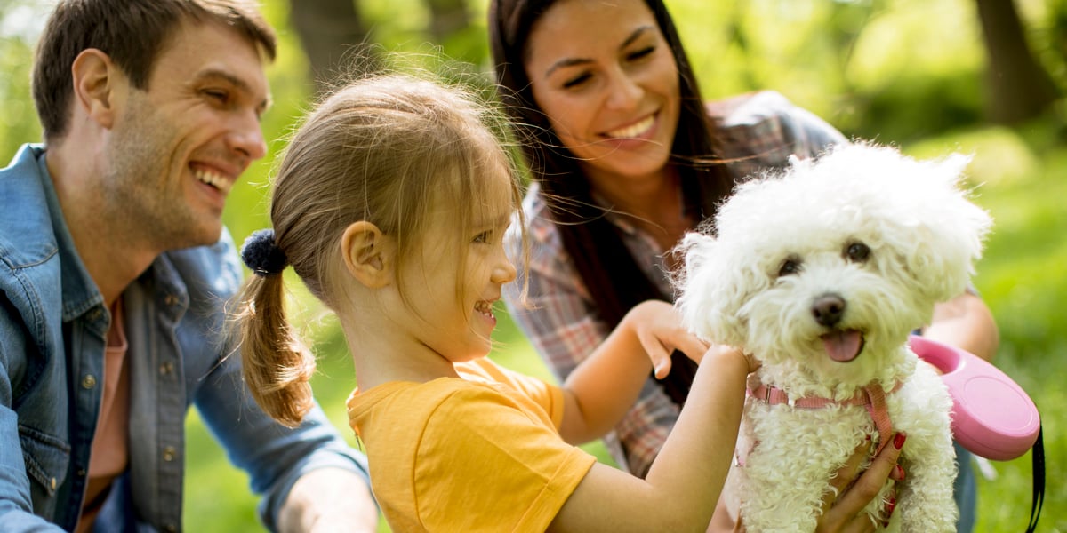 Waggel Blog Best Family Dogs UK Top 10 Best Dog Breeds for Families