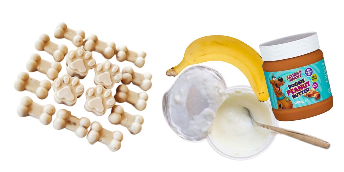 Waggel Blog Dog Ice Lollies Ice Lolly Recipes for Hot Pooches