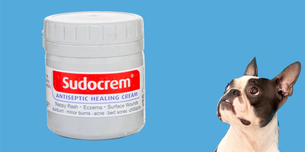 Can I Use Nappy Rash Cream On My Dog