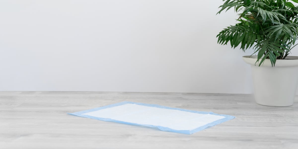 Waggel Blog The Ultimate Guide to Puppy Training Pads How to Use