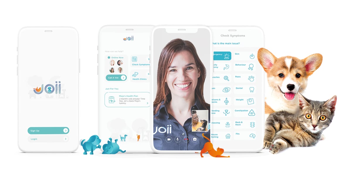 Waggel Blog - How to Sign Up to Joii
