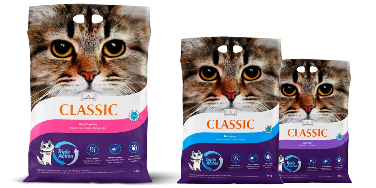 Waggel Blog Best Cat Litter Our Top 5 Choices