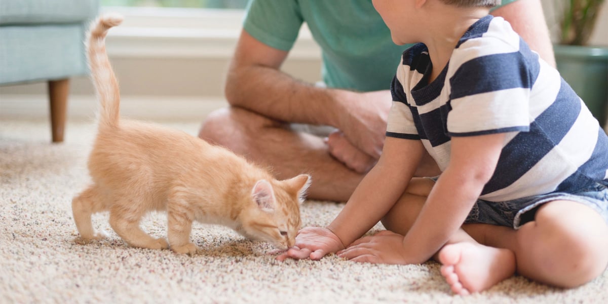 australia-s-most-popular-dog-and-cat-names-revealed-herald-sun