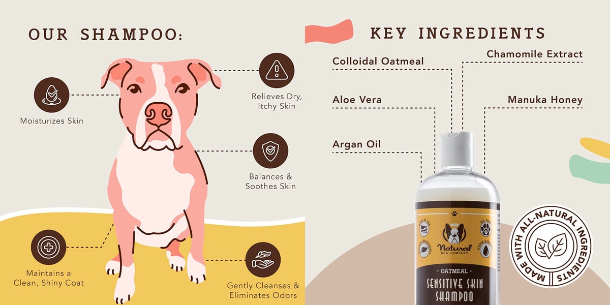 Waggel Blog Dog Shampoo for Itchy Skin Top 5 Dog Shampoos for Itch