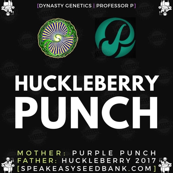 Speakeasy presents Huckleberry Punch by Dynasty Genetics