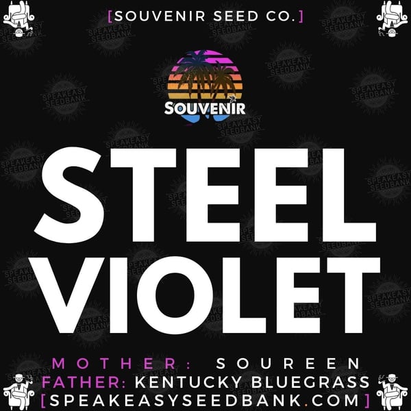 Speakeasy presents Steel Violet by Souvenir Seed Co