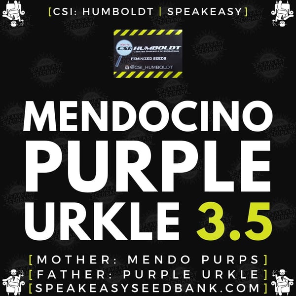 Speakeasy presents Mendocino Purple Urkle 3.5