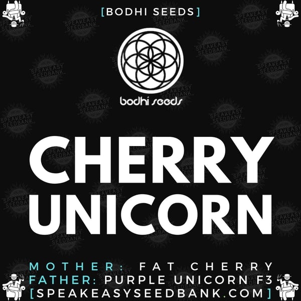 Speakeasy presents Cherry Unicorn (Bodhi Seeds)