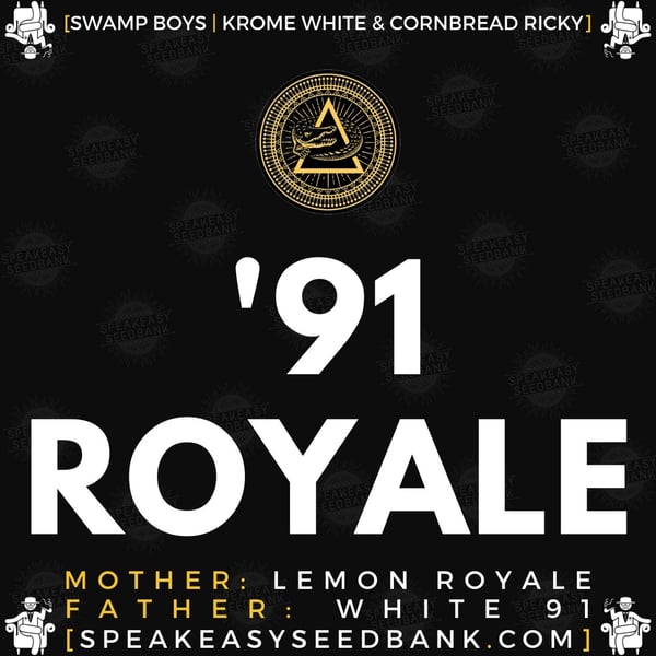 Swamp Boys present 91 Royale