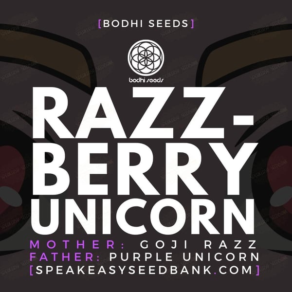 Razzberry Unicorn by Bodhi Seeds