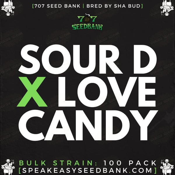 Sour D x Love Candy by 707 Seed Bank