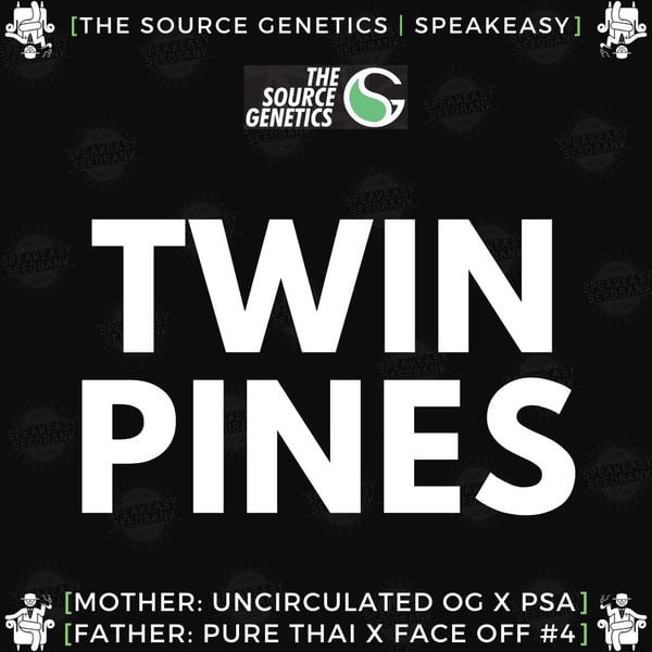 Speakeasy presents Twin Pines by The Source Genetics