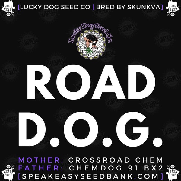 Speakeasy presents Road D.O.G.