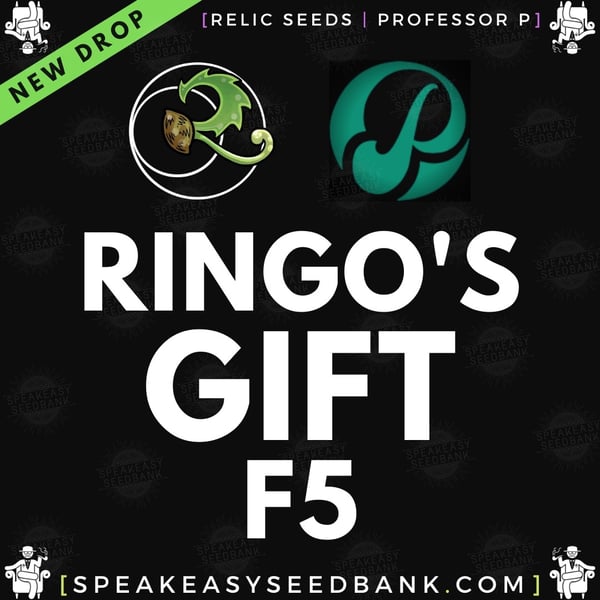 Speakeasy presents Ringo's Gift F5 by Relic Seeds