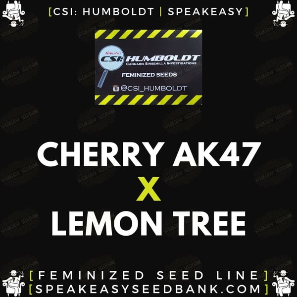 Speakeasy presents Cherry AK47 x Lemon Tree