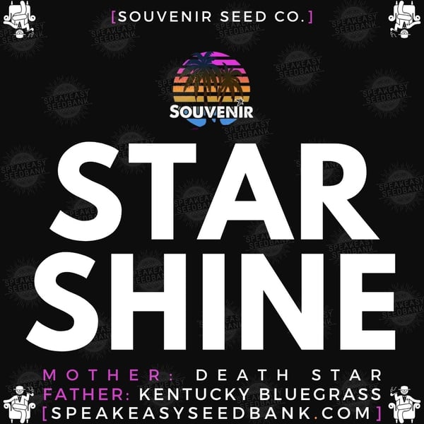 Speakeasy presents Starshine by Souvenir Seed Co