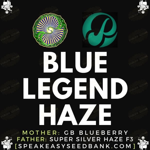 Speakeasy presents Blue Legend Haze