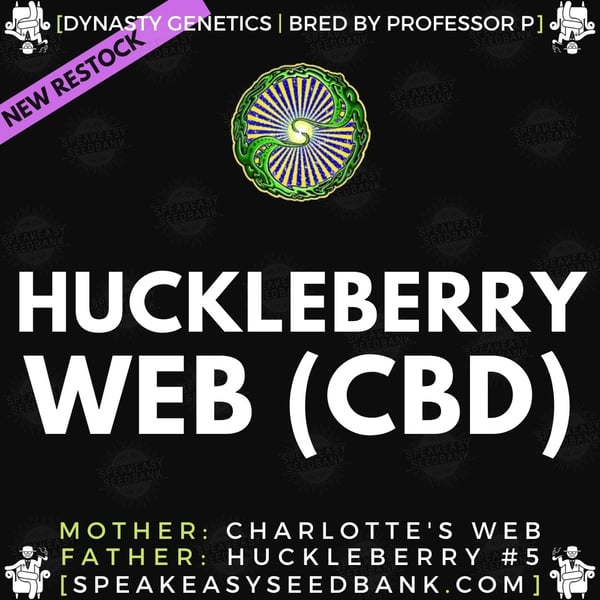 Speakeasy presents Huckleberry Web
