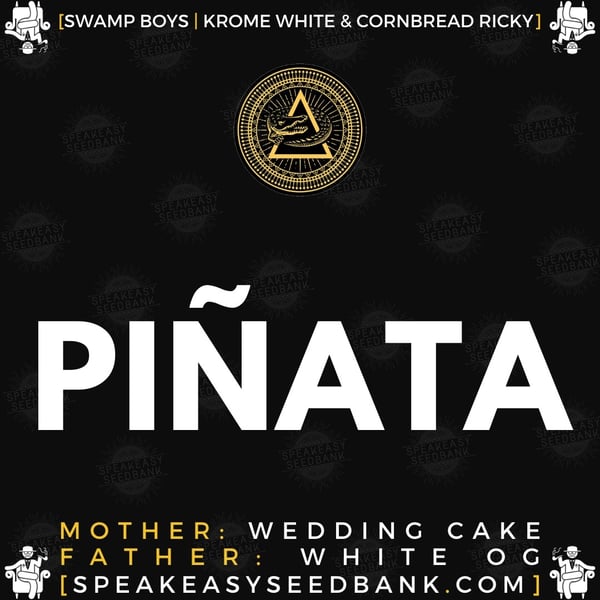 Speakeasy presents Piñata