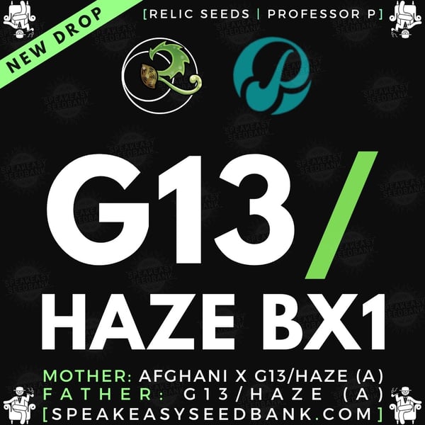 Speakeasy presents G13 / Haze BX1 by Relic Seeds