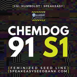 Chemdog 91 S1 by CSI Humboldt