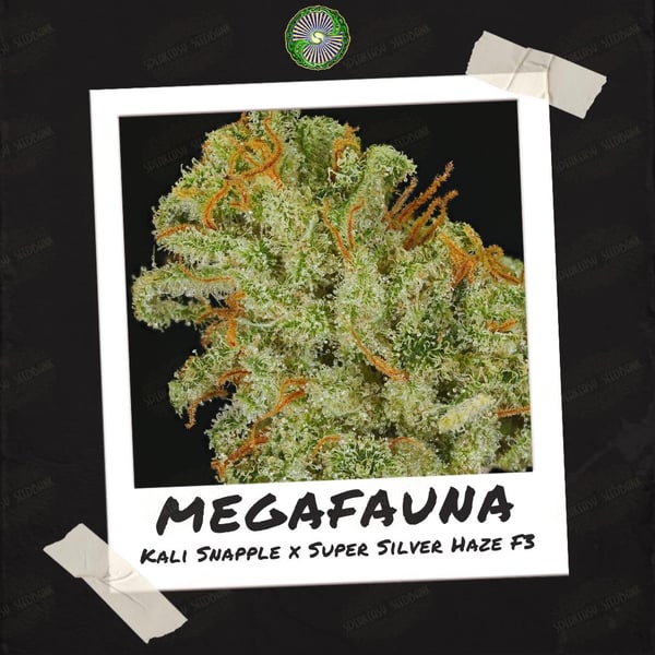 Megafauna by Dynasty Genetics