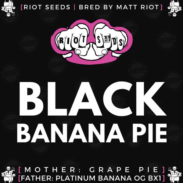 Speakeasy presents Black Banana Pie by Riot Seeds