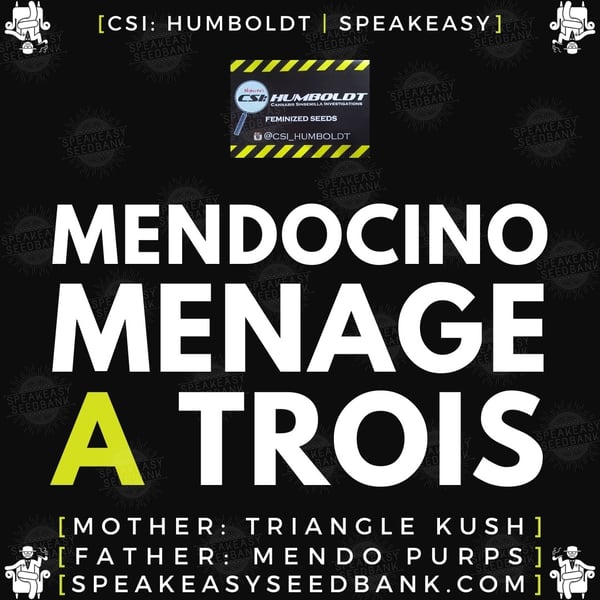 Speakeasy presents Mendocino Menage a Trois