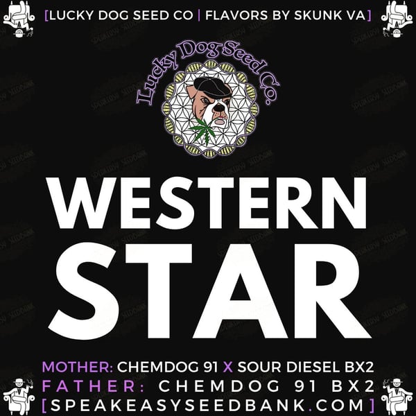 Western Star by Lucky Dog Seed Co