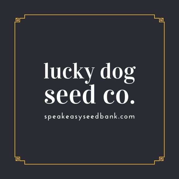 Speakeasy presents Lucky Dog Seed Co