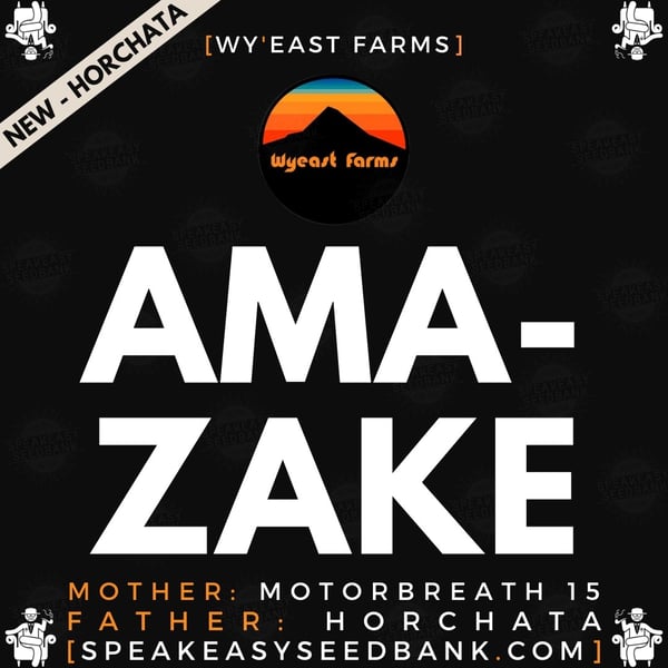 Speakeasy presents Amazake by Wy'east Farms