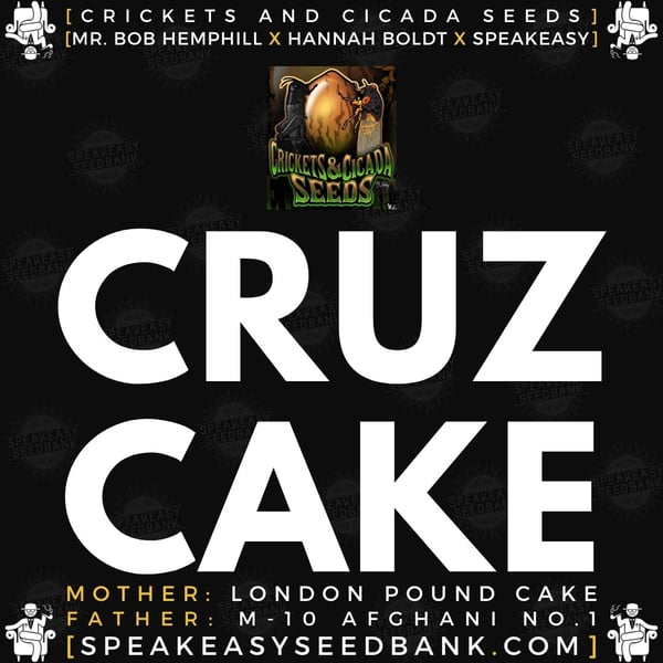 Speakeasy presents Cruz Cake by Crickets and Cicada Seeds