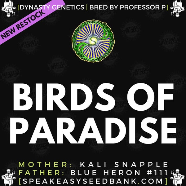Speakeasy presents Birds of Paradise