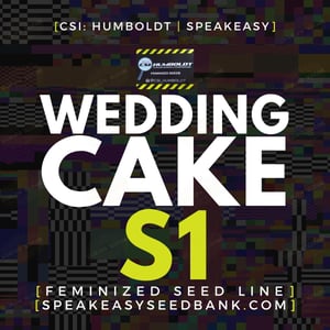 Wedding Cake S1 by CSI Humboldt