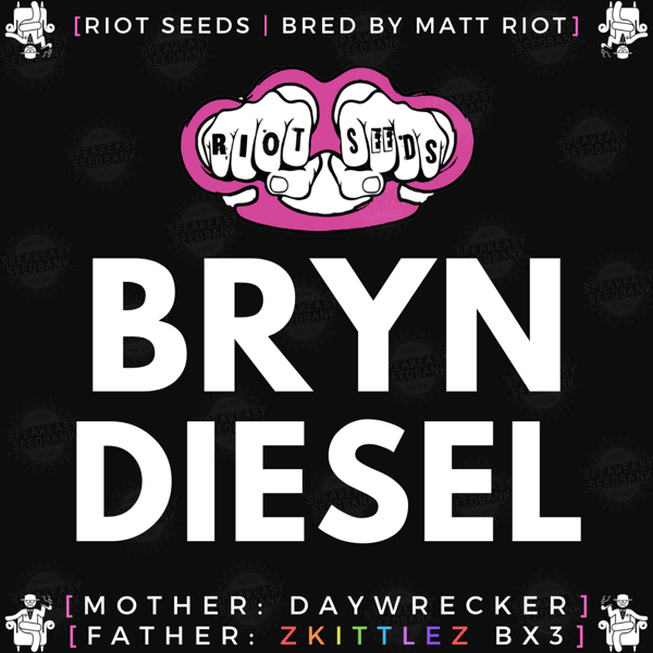 Speakeasy presents Bryn Diesel by Riot Seeds