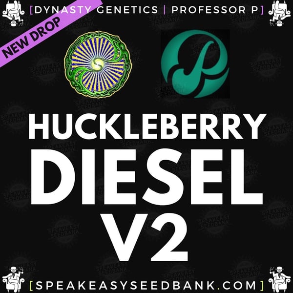 Speakeasy presents Huckleberry Diesel v2 by Dynasty Genetics