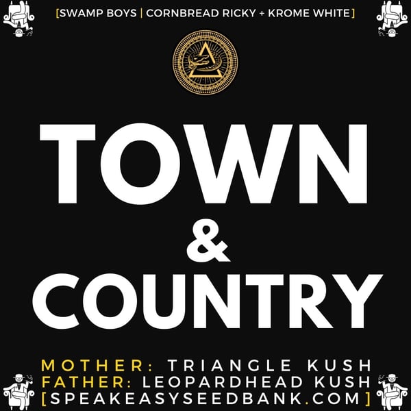 Speakeasy presents Town and Country by Swamp Boys Seeds